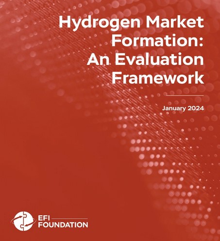 Hydrogen Market Formation: An Evaluation Framework